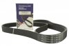 PASEK KLINOWY 7PK1705 2.0 DCI LAGUNA III KOLEOS